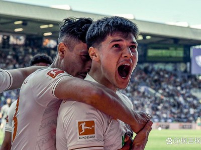 奥格斯堡vs波鸿