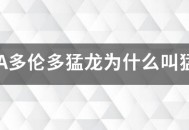 NBA多伦多猛龙为什么叫猛龙？
