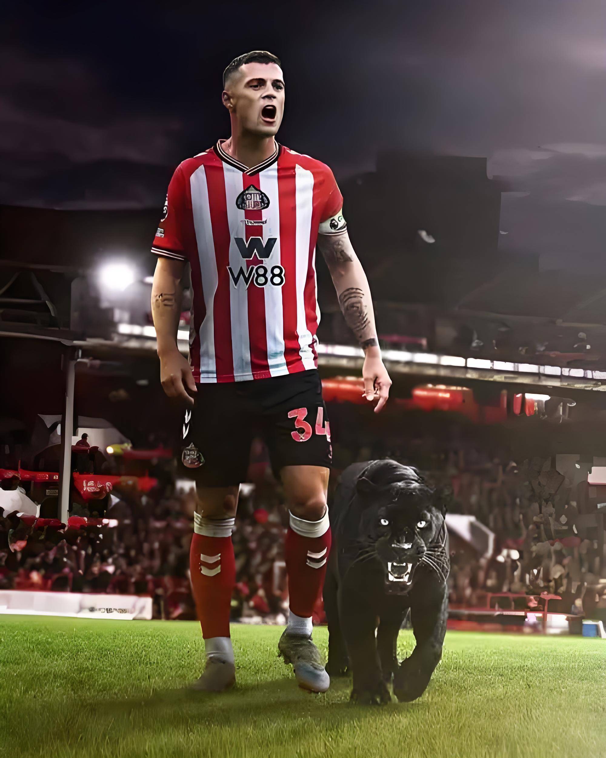 曼联小心！扎卡成为桑德兰梦幻开局的核心，铸就桑德兰非常硬中场